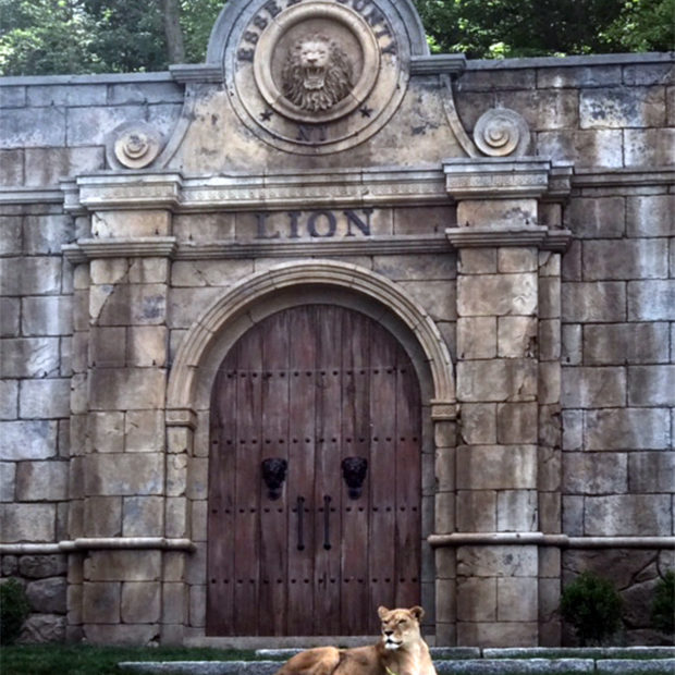 Lion House + Exhibit