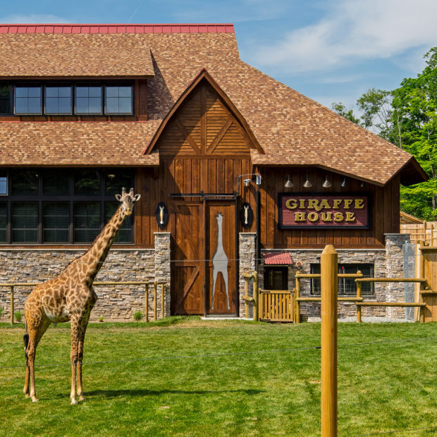 Giraffe House + Exhibit